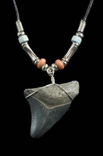 Fossil Megalodon Tooth Necklace #43065